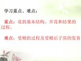 人教版生物七年级上册：3.2.3开花和结果（共47张PPT）课件