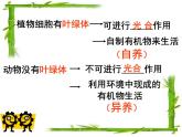人教版生物八年级上册： 4.2细菌（共38张PPT）课件
