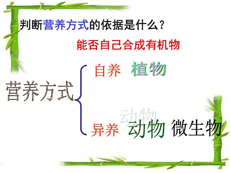 人教版生物八年级上册： 4.2细菌（共38张PPT）课件第4页