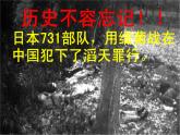 人教版生物八年级上册： 4.2细菌（共38张PPT）课件