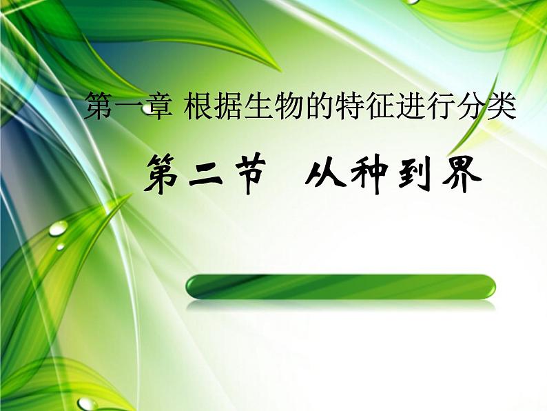 人教版生物八年级上册6.1.2从种到界 课件01