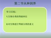 人教版生物八年级上册6.1.2从种到界 课件