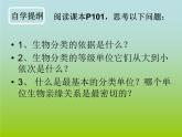 人教版生物八年级上册6.1.2从种到界 课件