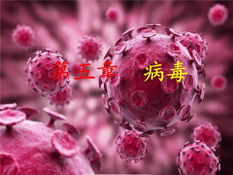 初中生物人教版八年级上第五单元 生物圈中的其他生物第五章 病毒 课件01