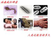 初中生物人教版八年级上第五单元 生物圈中的其他生物第五章 病毒 课件