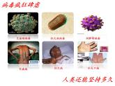 初中生物人教版八年级上第五单元 生物圈中的其他生物第五章 病毒 课件