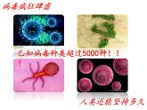 初中生物人教版八年级上第五单元 生物圈中的其他生物第五章 病毒 课件