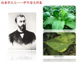 初中生物人教版八年级上第五单元 生物圈中的其他生物第五章 病毒 课件