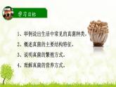 人教版八年级上册生物：5.4.3真菌课件