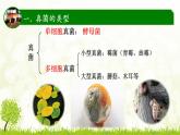 人教版八年级上册生物：5.4.3真菌课件