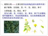 人教版八年级上册生物   6.1.1 尝试对生物进行分类课件