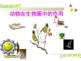 人教版生物八年级上册 5.3动物在生物圈中的作用 课件