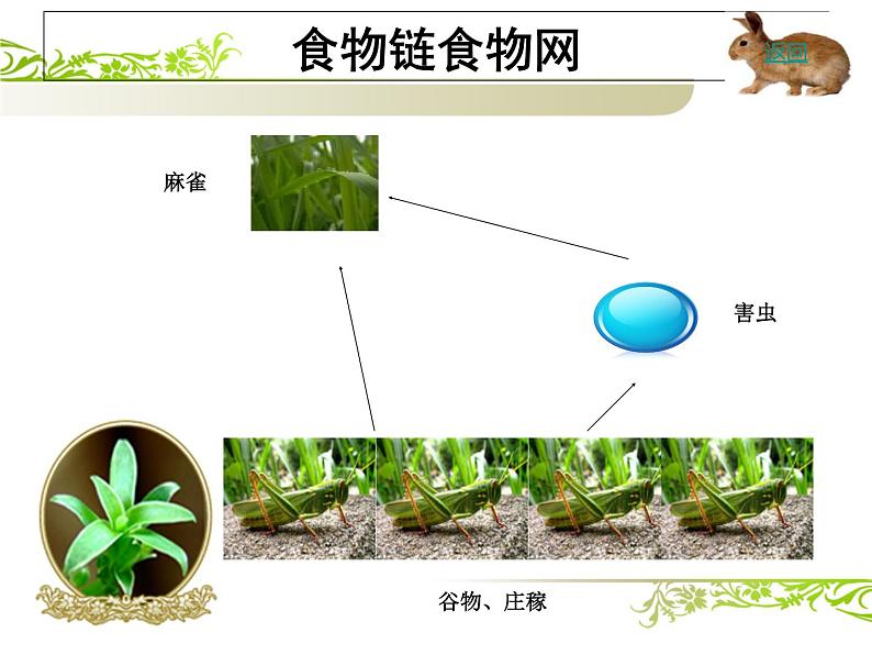 人教版生物八年级上册 5.3动物在生物圈中的作用 课件07