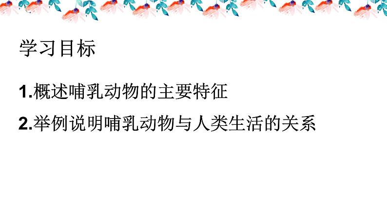 人教版八年级上册生物 5.1.7哺乳动物  （24张PPT）课件02