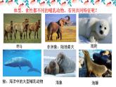 人教版八年级上册生物 5.1.7哺乳动物  （24张PPT）课件