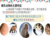 人教版八年级上册生物 5.1.7哺乳动物  （24张PPT）课件