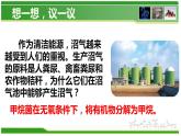 5.4.5 人类对细菌和真菌的利用  人教版八年级上册生物课件