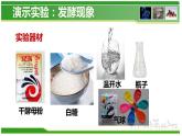 5.4.5 人类对细菌和真菌的利用  人教版八年级上册生物课件