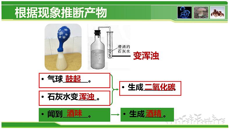 5.4.5 人类对细菌和真菌的利用  人教版八年级上册生物课件05