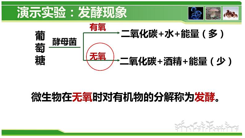 5.4.5 人类对细菌和真菌的利用  人教版八年级上册生物课件07