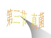 人教版生物八年级上册5.4.3真菌 课件