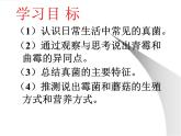 人教版生物八年级上册5.4.3真菌 课件