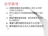 人教版生物八年级上册5.4.3真菌 课件