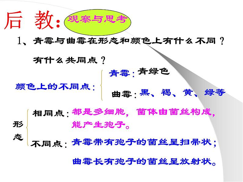 人教版生物八年级上册5.4.3真菌 课件08