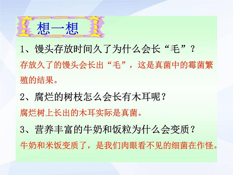 人教版生物八年级上册： 4.1细菌和真菌的分布 （共34张PPT）课件02