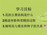 人教版生物七年级上册：3.2.3  开花和结果（共19张PPT）课件