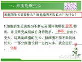 人教版七年级生物上册  2.2.1  细胞通过分裂产生新细胞课件