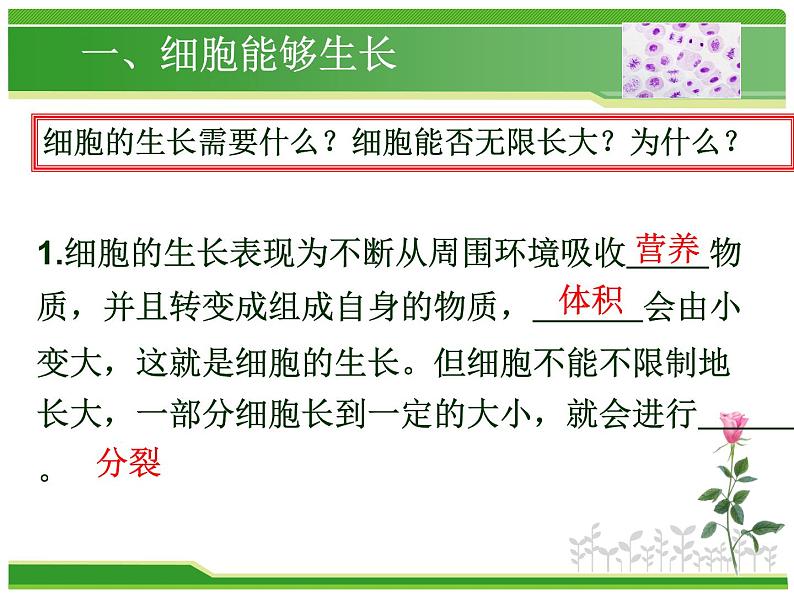 人教版七年级生物上册  2.2.1  细胞通过分裂产生新细胞课件第3页