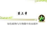 人教版生物七年级上册3.3绿色植物与生物圈的水循环 课件