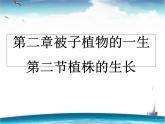 人教版生物七年级上册3.2.2植株的生长 课件