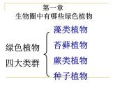 人教版生物七年级上册：3.1.1藻类、苔藓和蕨类植物（共23张PPT）课件