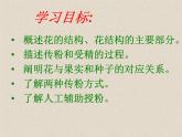 人教版生物七年级上册：3.2.3  开花和结果（共39张PPT）课件