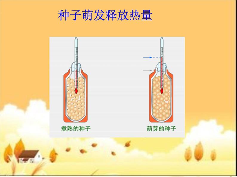 人教版生物七年级上册3.5.2绿色植物的呼吸作用课件05