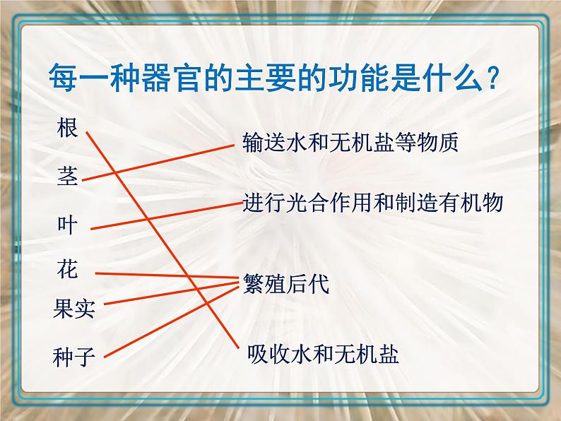 人教版生物七年级上册  2.2.3《植物体的结构层次》(共21张PPT)课件第6页