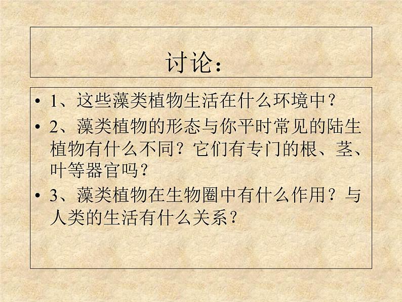 人教版七年级上册生物：3.1.1藻类、苔藓和蕨类植物课件07