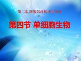 人教版生物七年级上册：第二单元第二章第四节单细胞生物（共34张PPT）课件