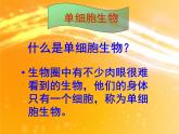 人教版生物七年级上册：第二单元第二章第四节单细胞生物（共34张PPT）课件