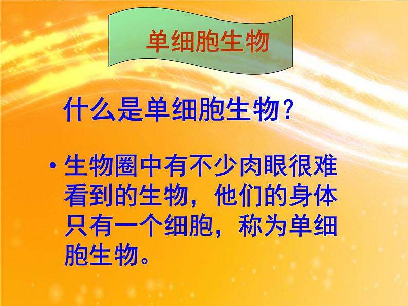 人教版生物七年级上册：第二单元第二章第四节单细胞生物（共34张PPT）课件03