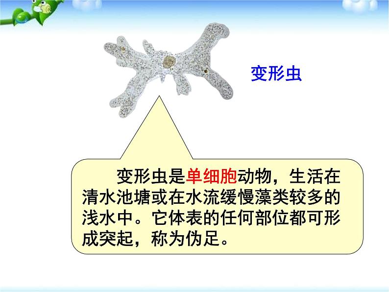 人教版生物七年级上册：第二单元第二章第四节单细胞生物（共34张PPT）课件07