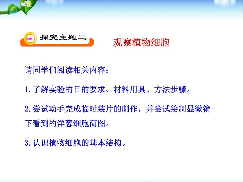 人教版生物七年级上册：2.1.2   植物细胞（共29张PPT）课件07