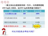 人教版生物七年级上册3.3绿色植物与生物圈的水循环 课件
