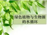 人教版生物七年级上册3.3绿色植物与生物圈的水循环 课件