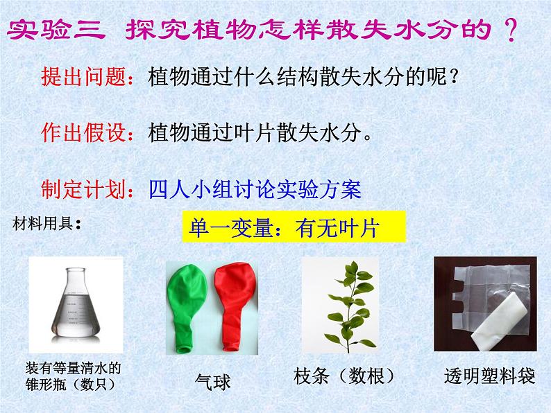 人教版生物七年级上册3.3绿色植物与生物圈的水循环 课件第7页