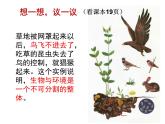 人教版生物七年级上册：1.2.2  生物与环境组成生态系统（共40张PPT）课件