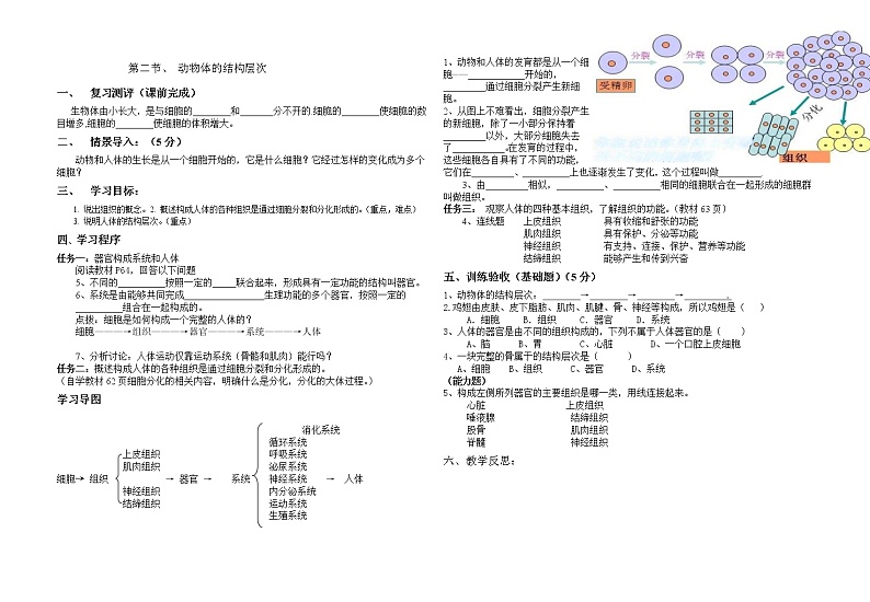 人教版生物七年级上册第二单元第二章细胞怎样构成生物体  导学案02