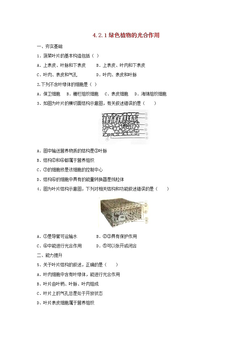 北京课改版七年级生物上册4.2绿色植物的光合作用练习1+(1)第1页